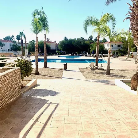 Nissi Pool View Large Terrace 450m From Nissi