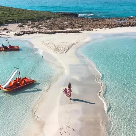 Nissi Pool View Large Terrace 450m From Nissi *