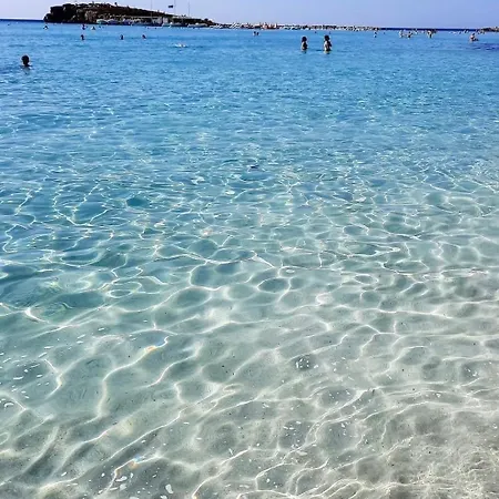 Nissi Pool View Large Terrace 450m From Nissi Αγία Νάπα