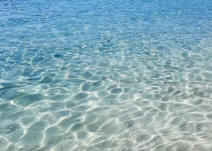 Nissi Pool View Large Terrace 450m From Nissi איה נאפה